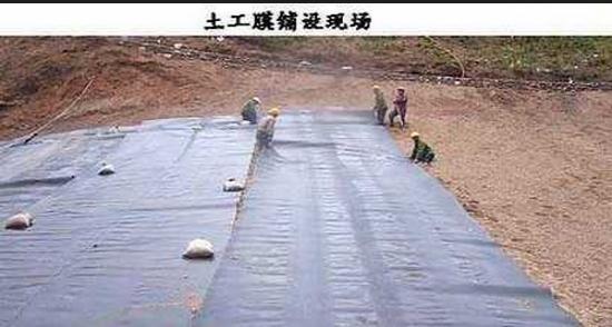 土工膜鋪設施工現場